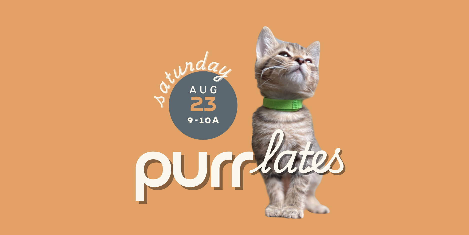 PURR-lates Kitten Mat Class