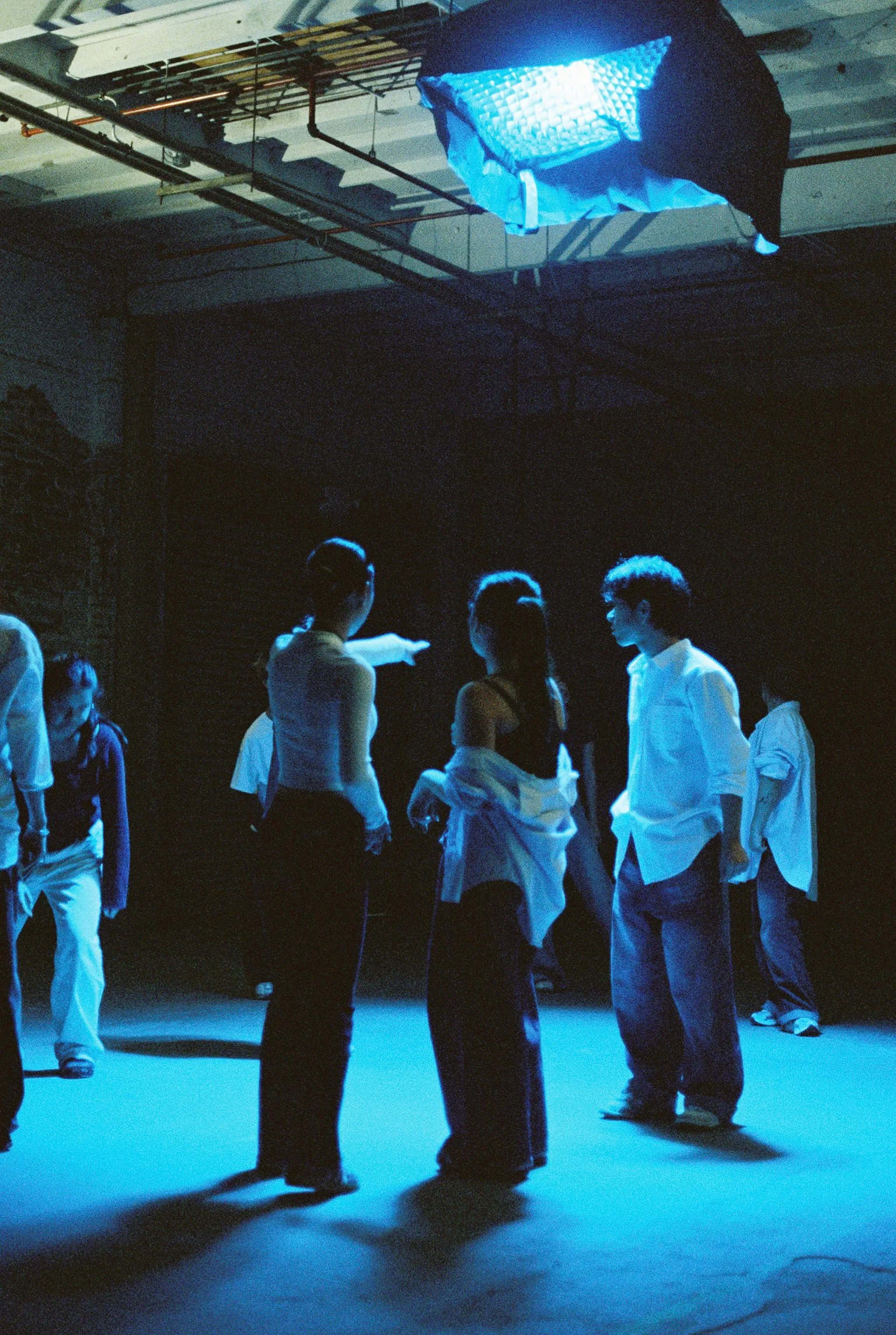 jacq445-047.jpg
