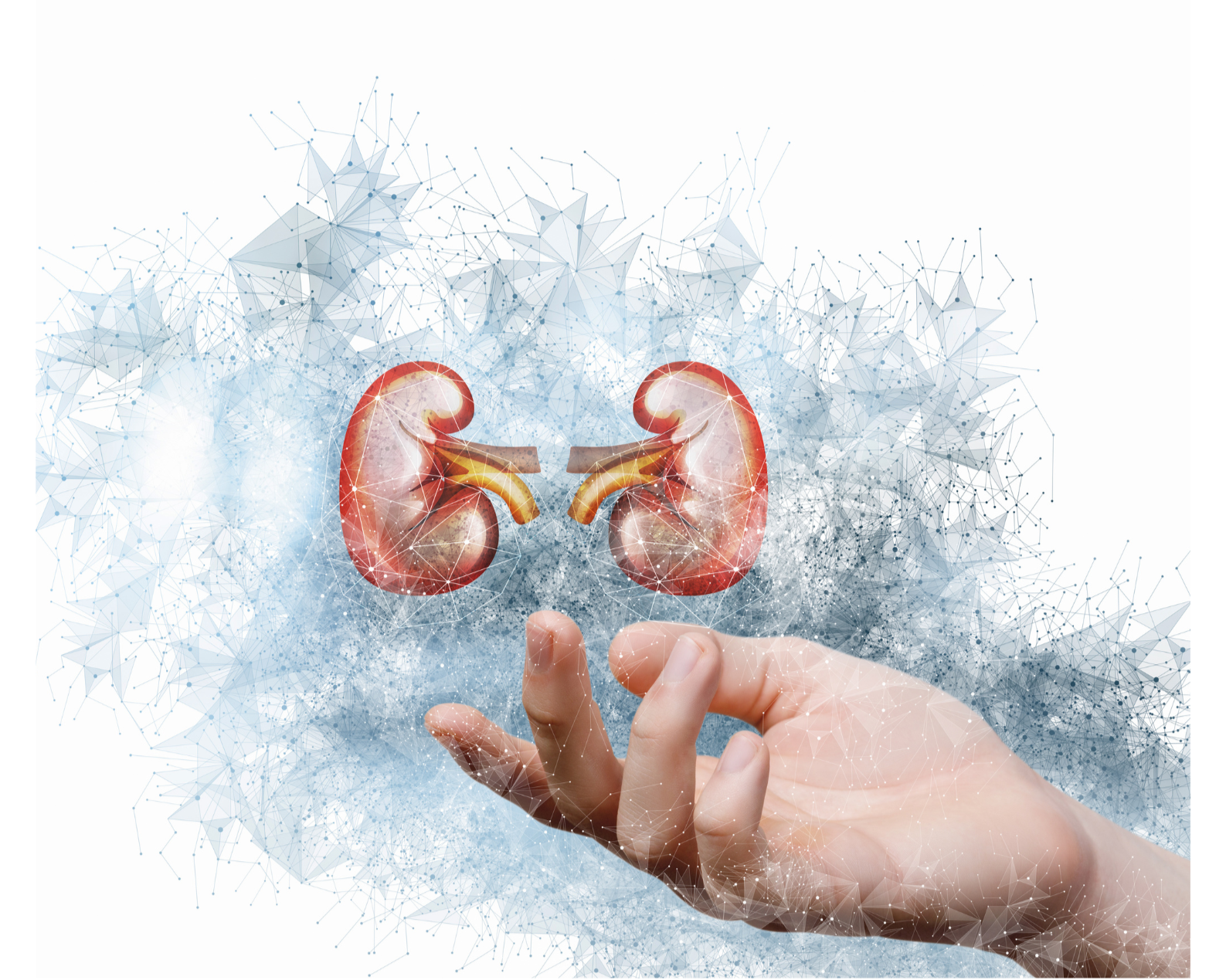 Kidney Conditions Management Updates in Primary Care