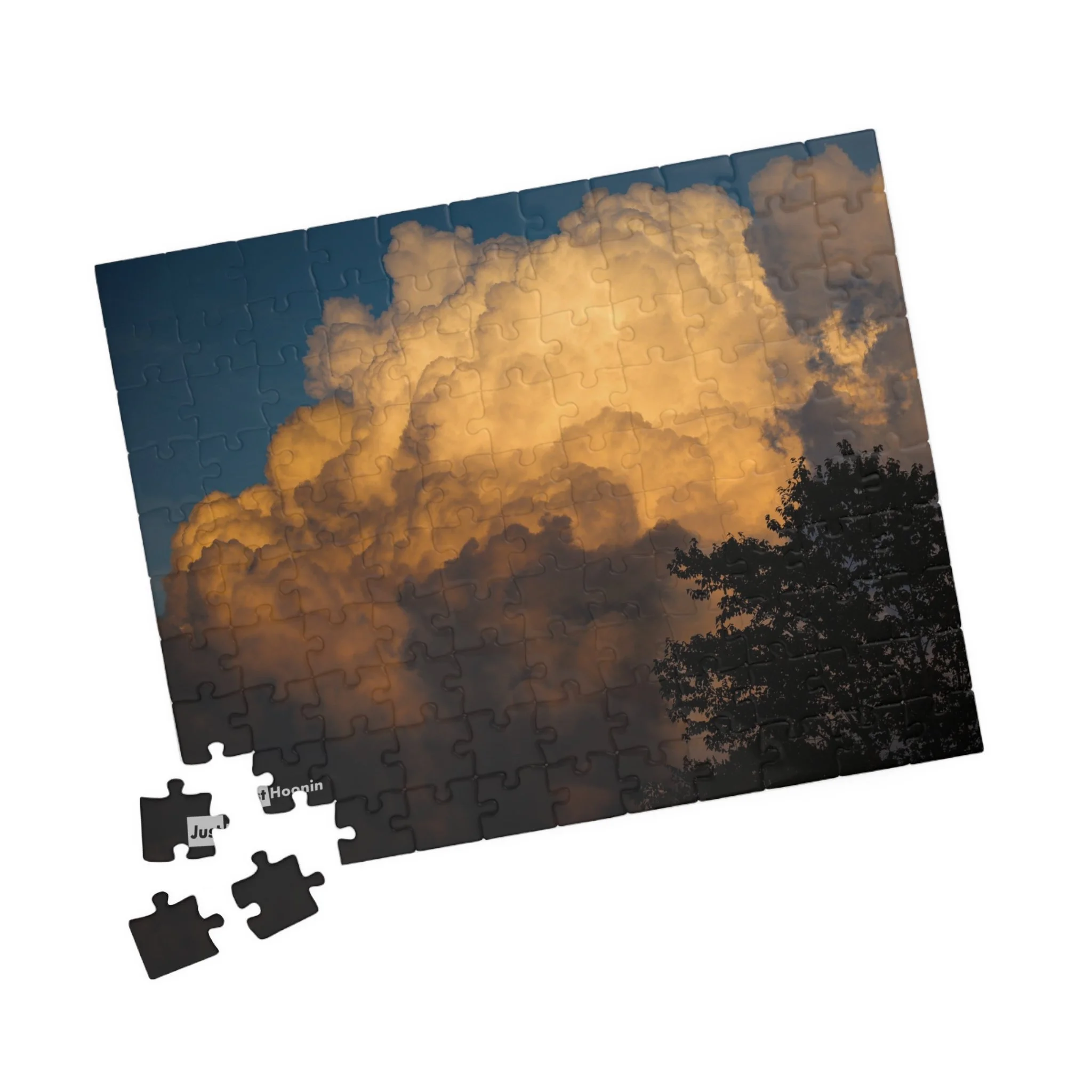 2ac097c7b6848b1c0e662819fa00e20a