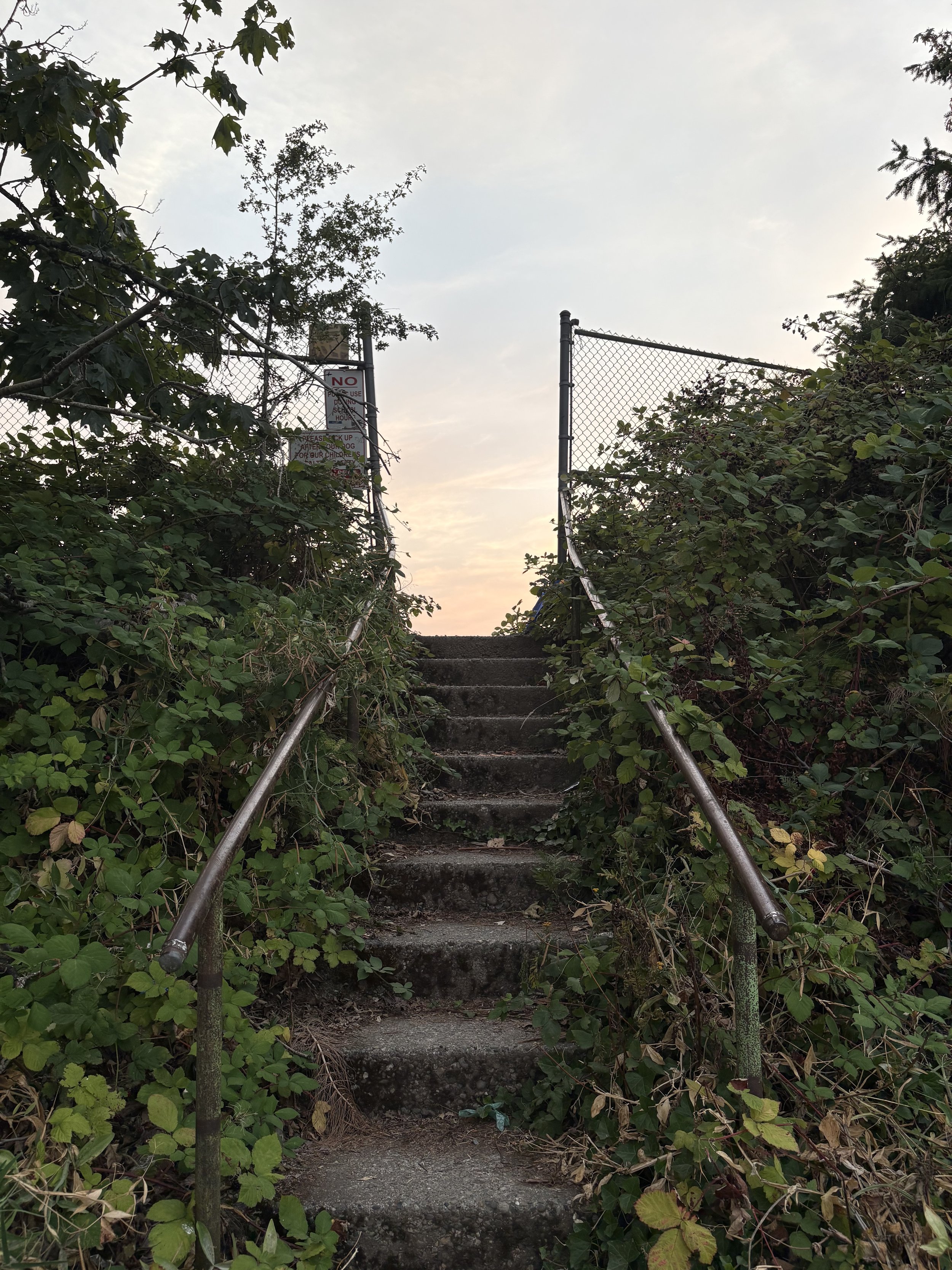 Case Study: Peer Onboarding & Leadership Training Program