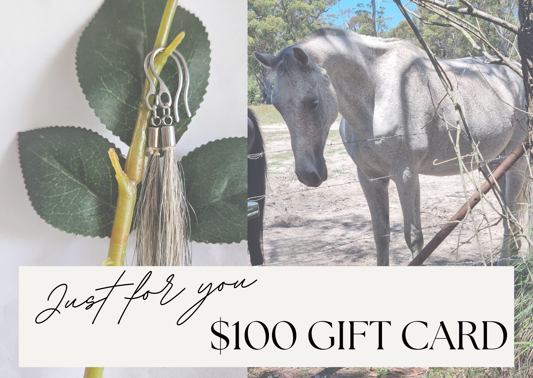 Pink Minimalist Voucher Amount Gift Card (4).png