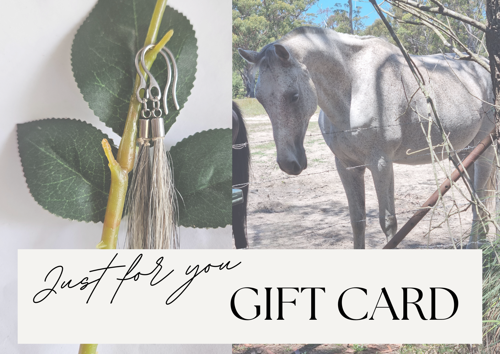 Pink Minimalist Voucher Amount Gift Card.png