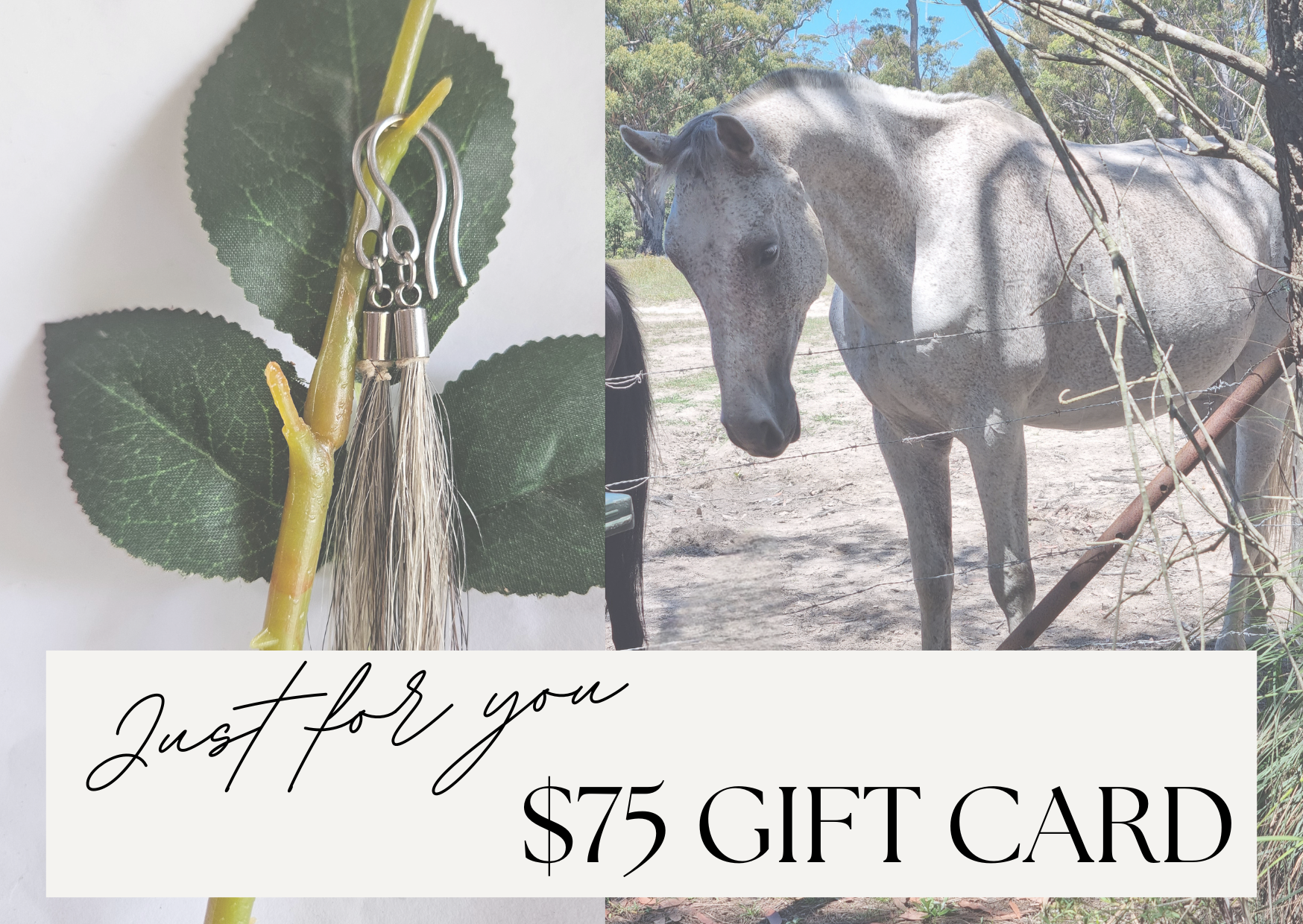 Pink Minimalist Voucher Amount Gift Card (3).png