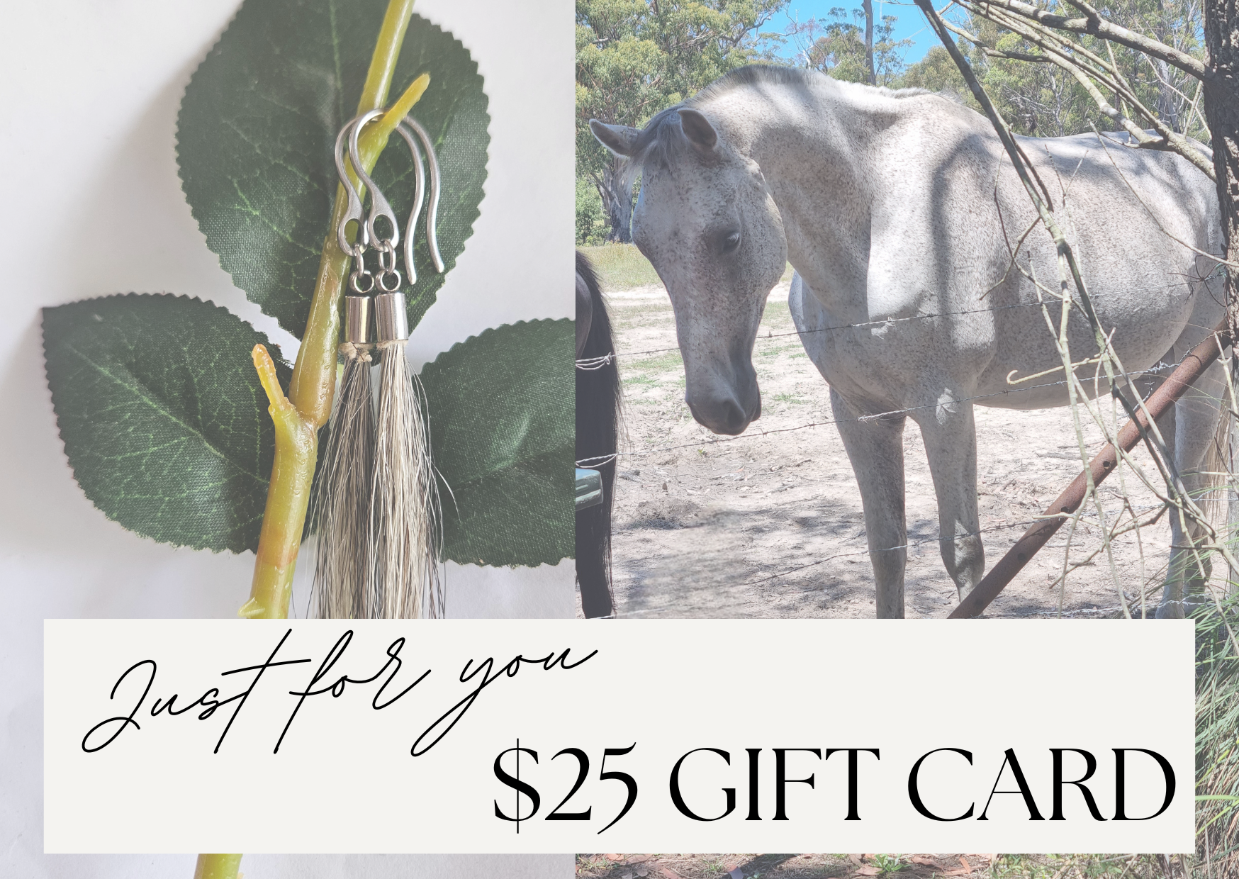 Pink Minimalist Voucher Amount Gift Card (1).png