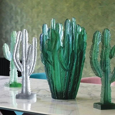 Jardin-de-cactus-1.jpg