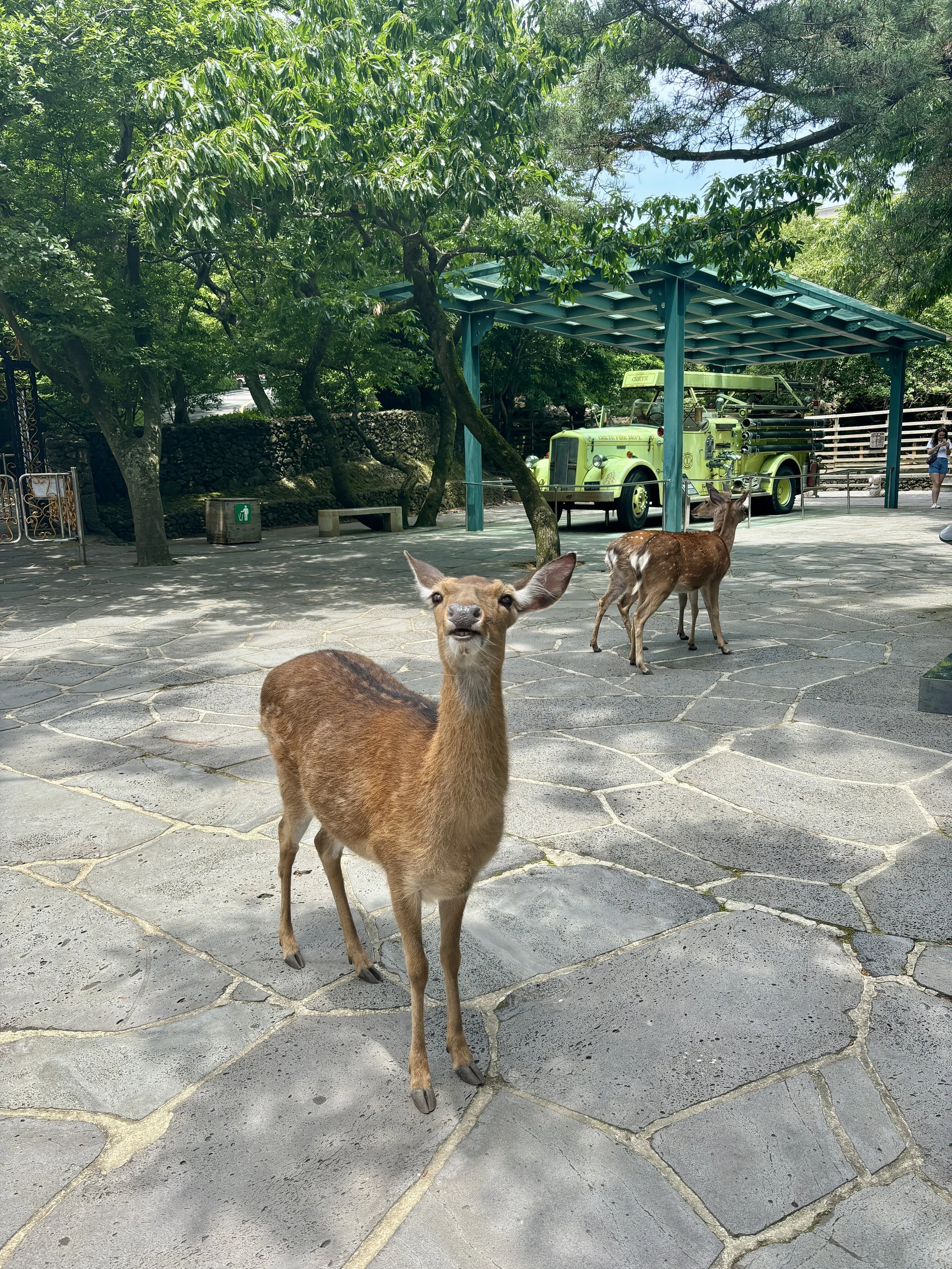 IMG_7219.jpeg