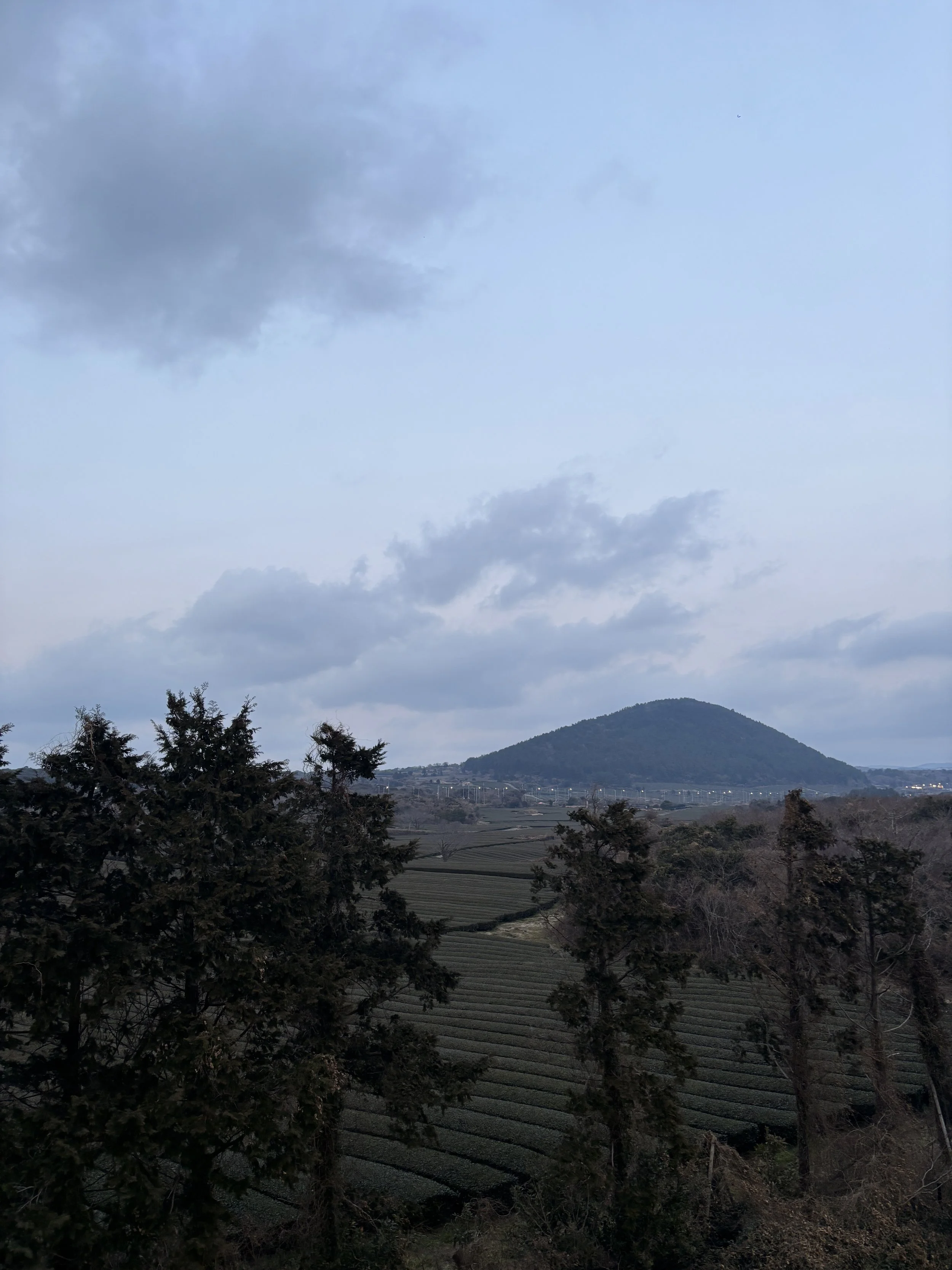 IMG_3389.jpeg