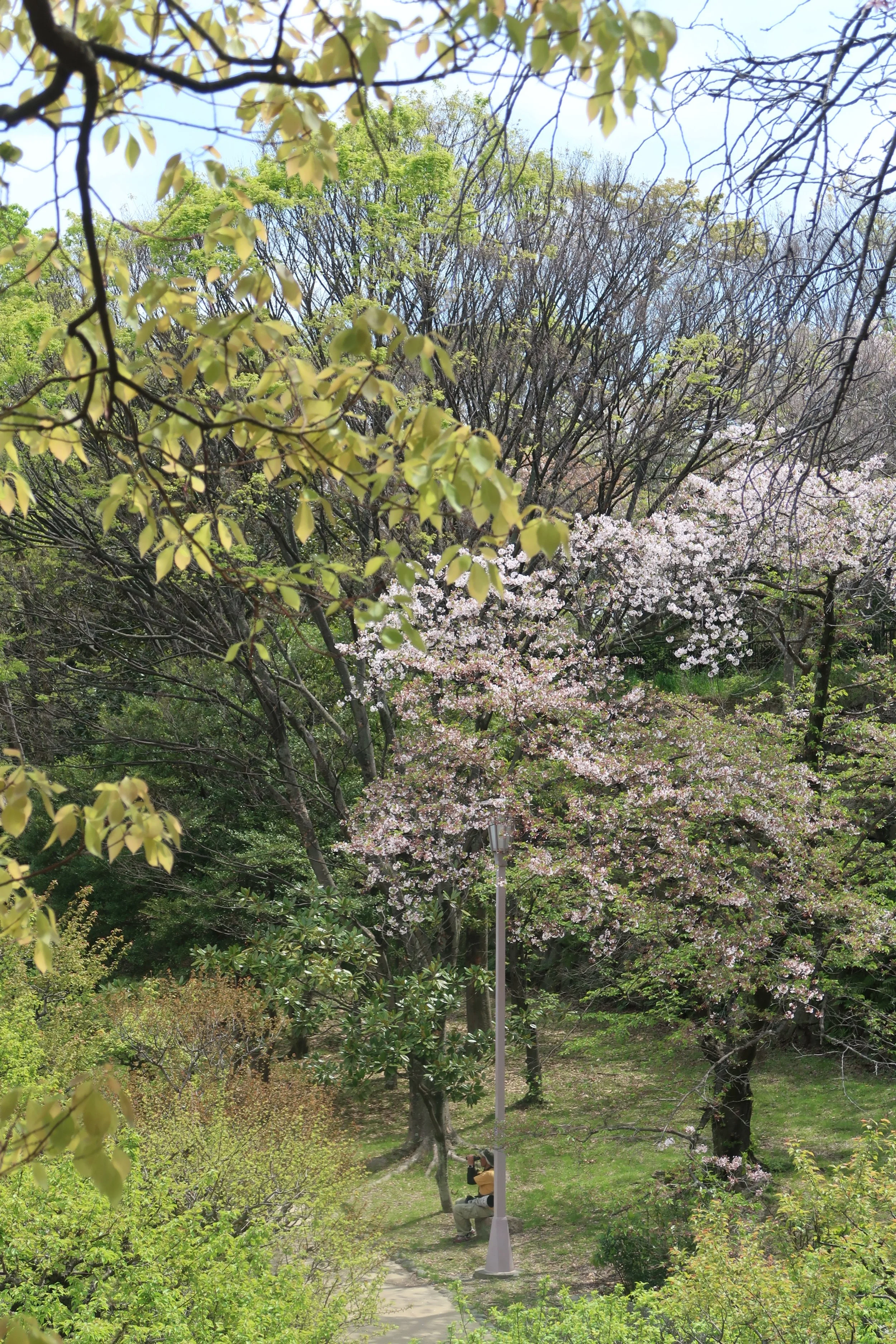 IMG_1088.jpeg
