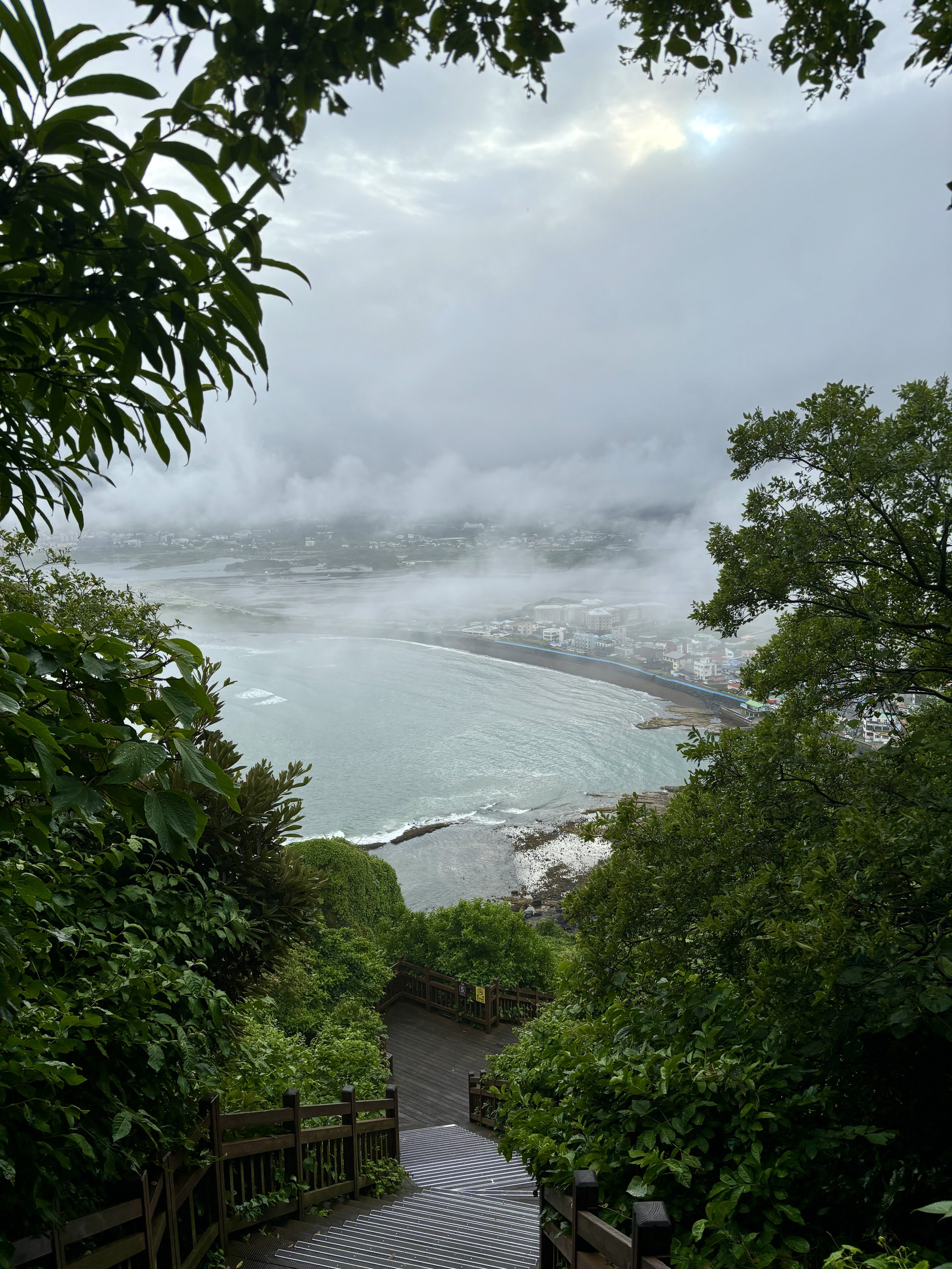 IMG_7738.jpeg