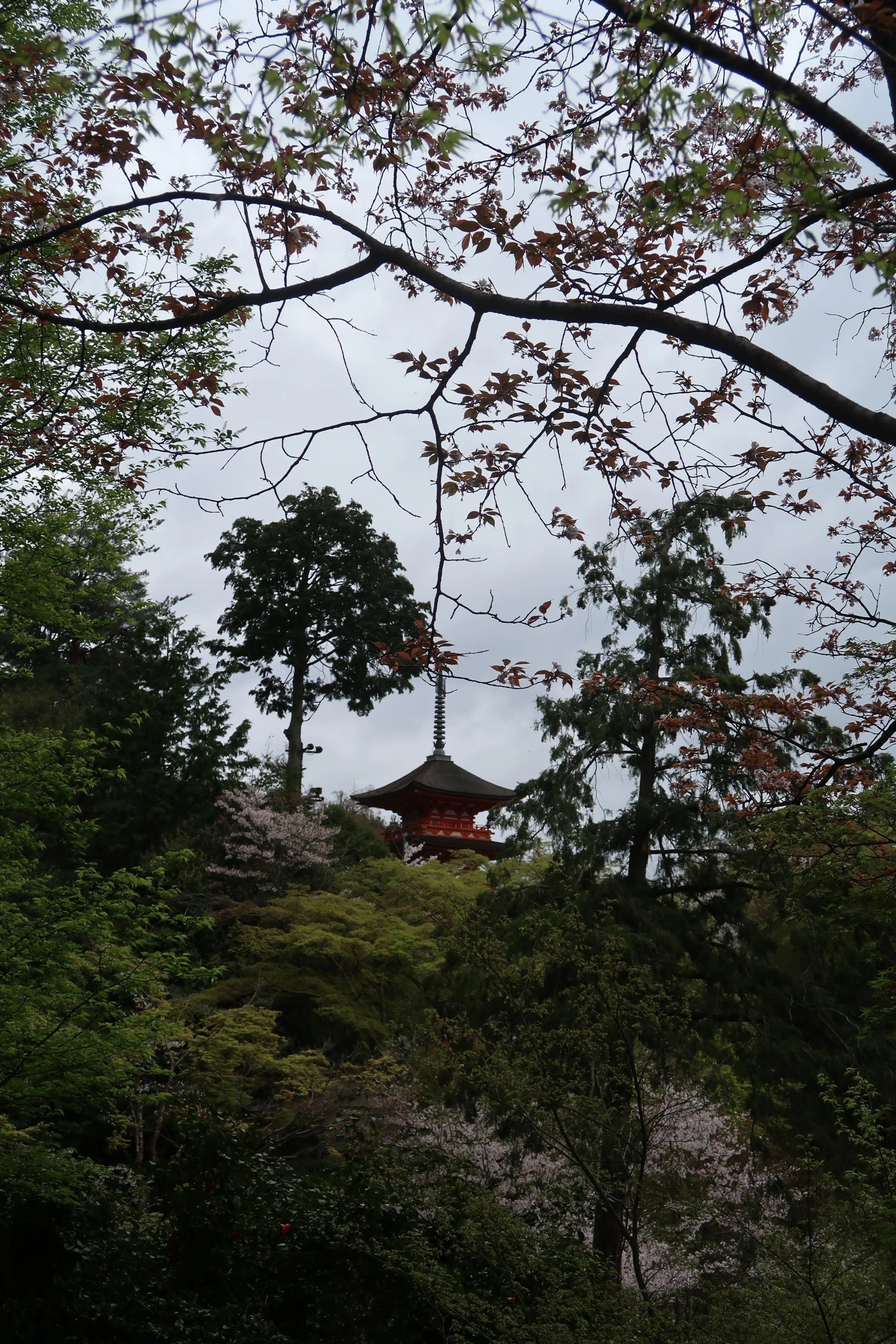 IMG_0586.jpeg