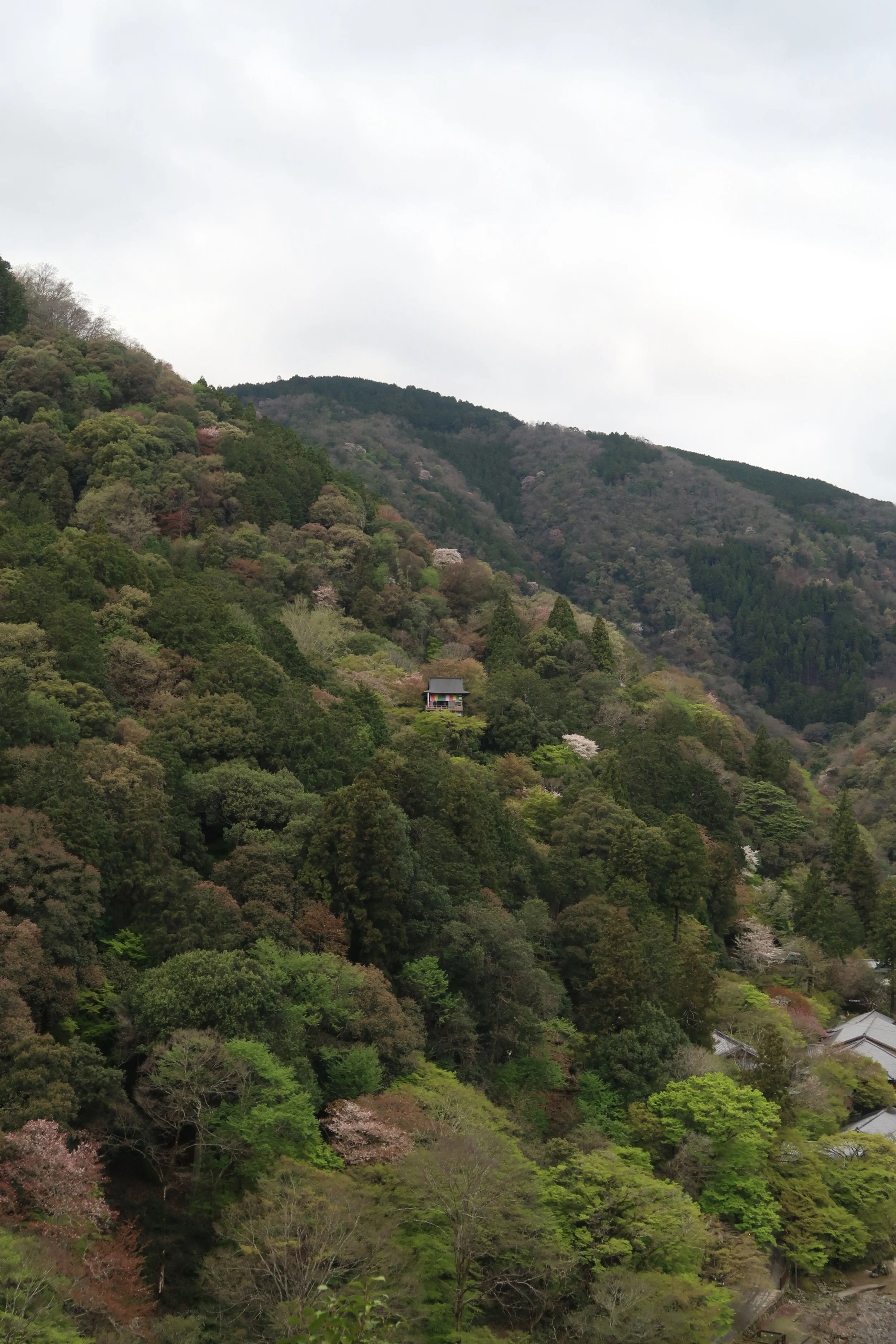 IMG_0697.jpeg