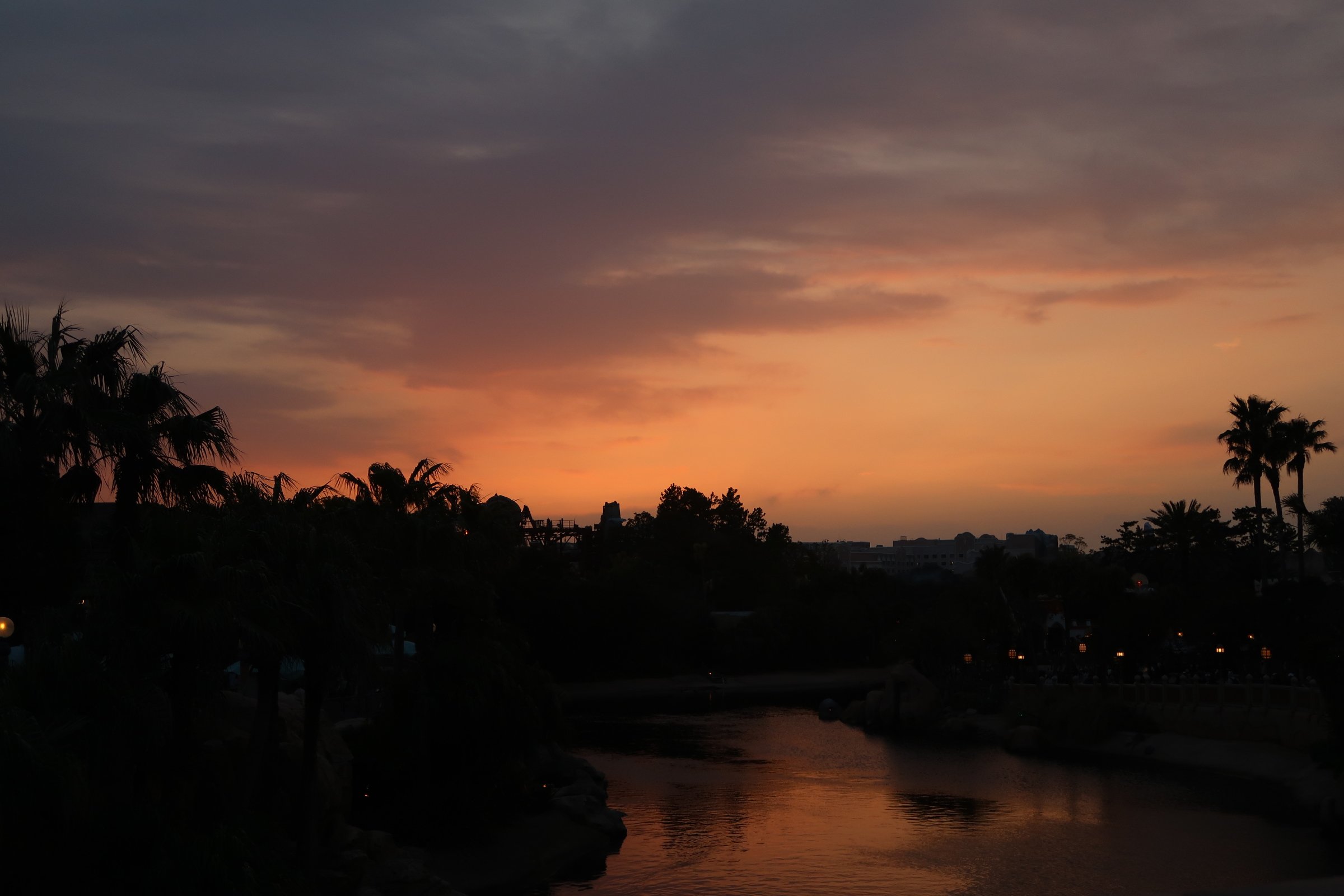 IMG_4830.jpeg