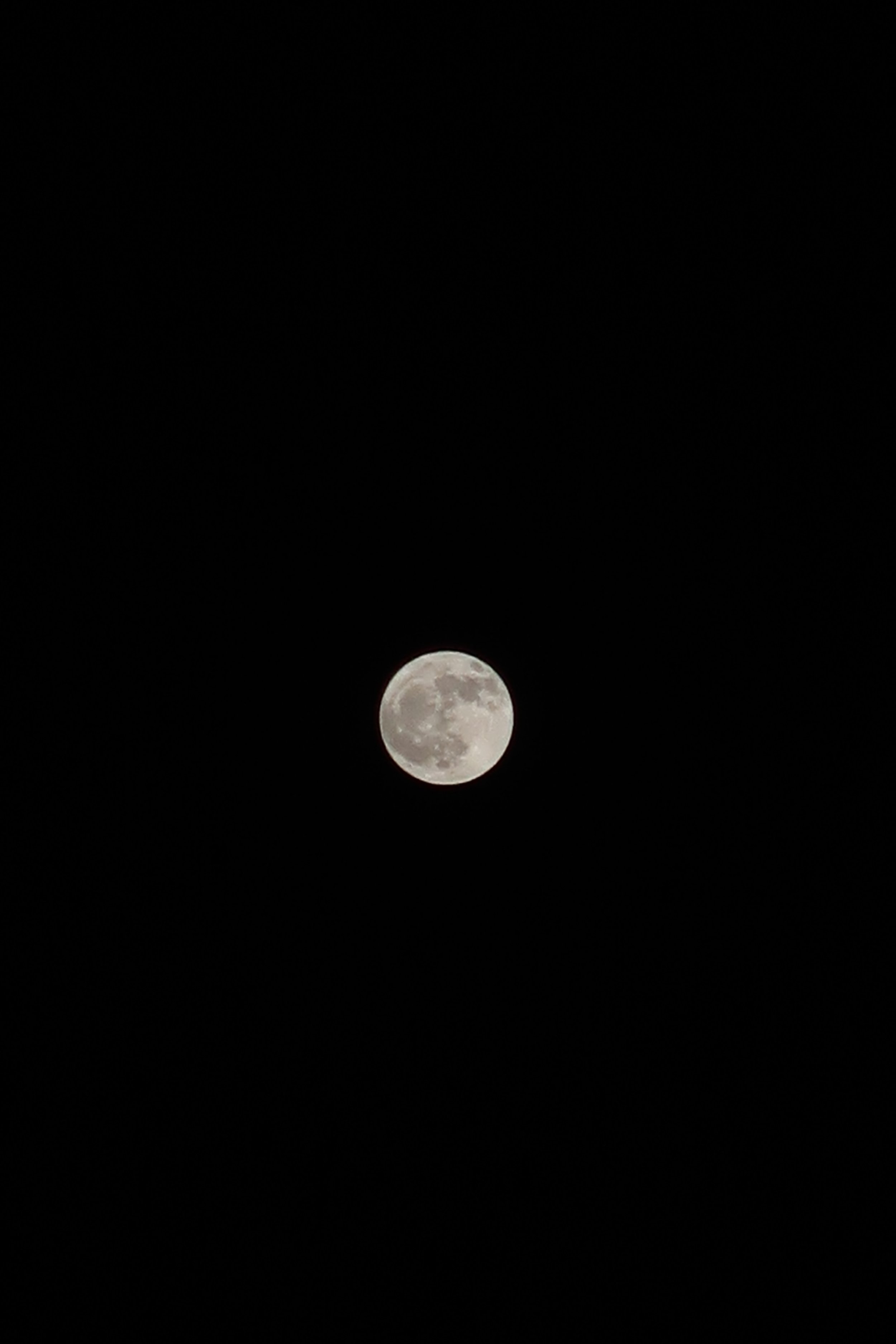 IMG_1263.jpeg