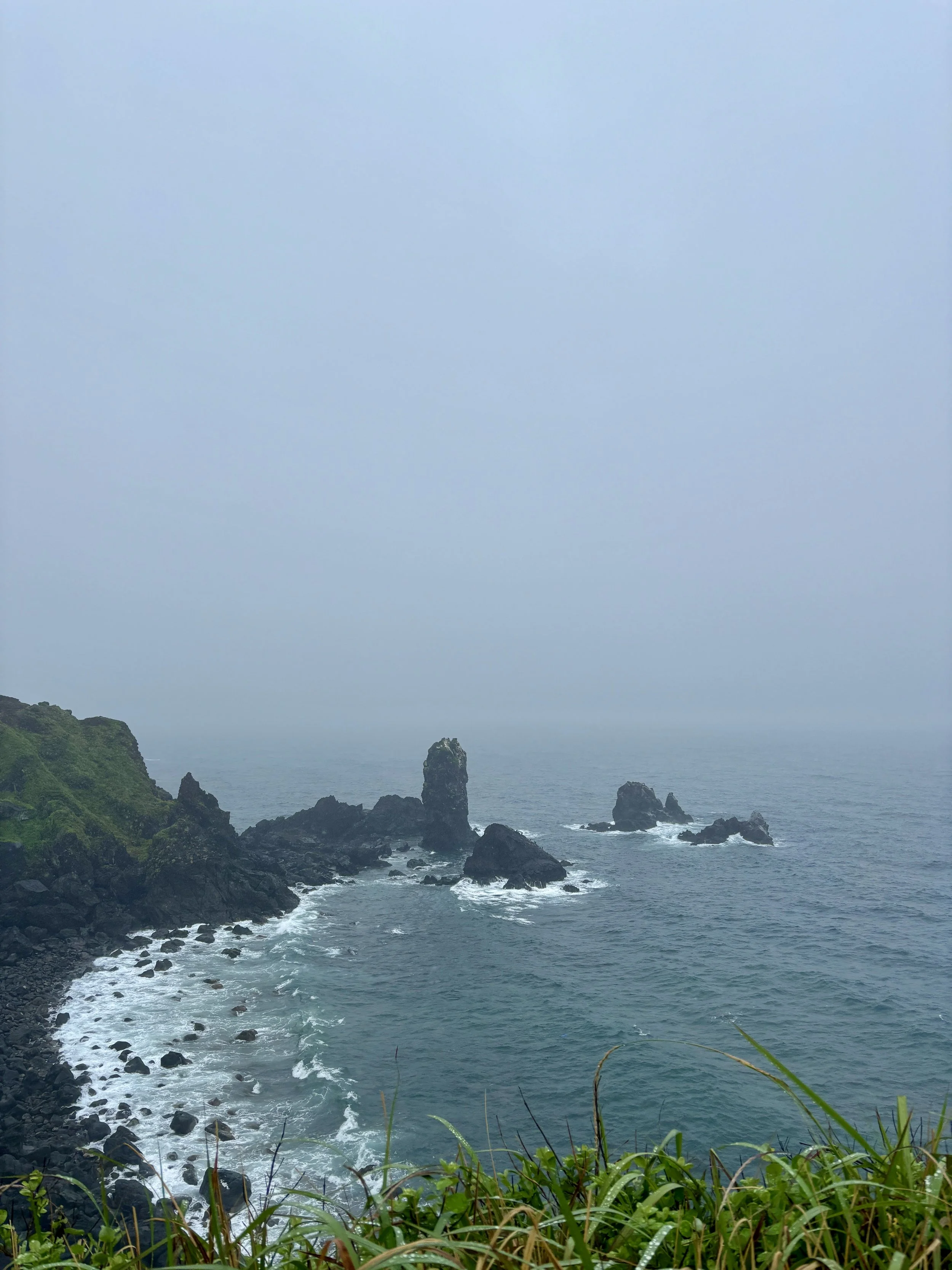 IMG_7698.jpeg