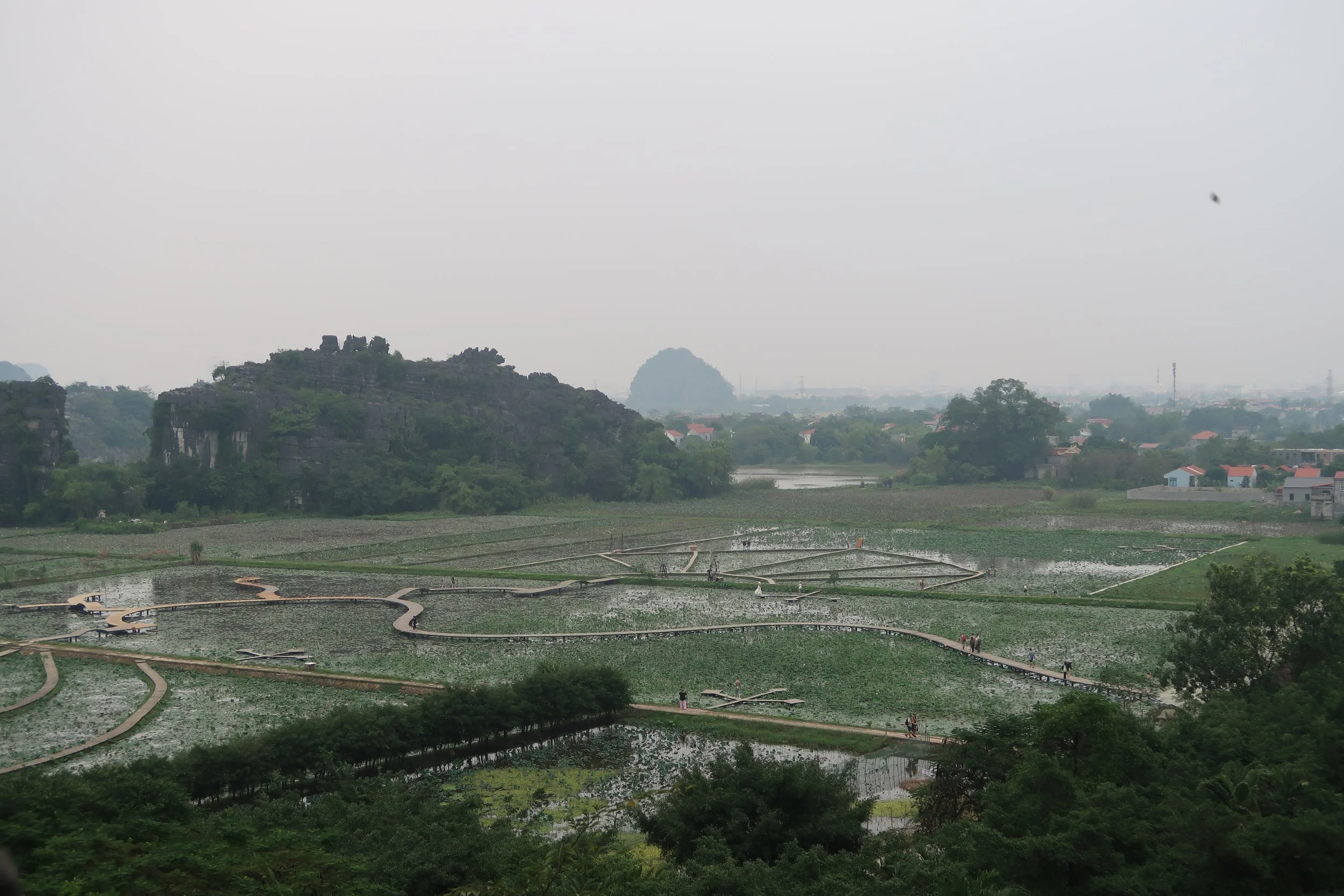 IMG_2538.jpeg