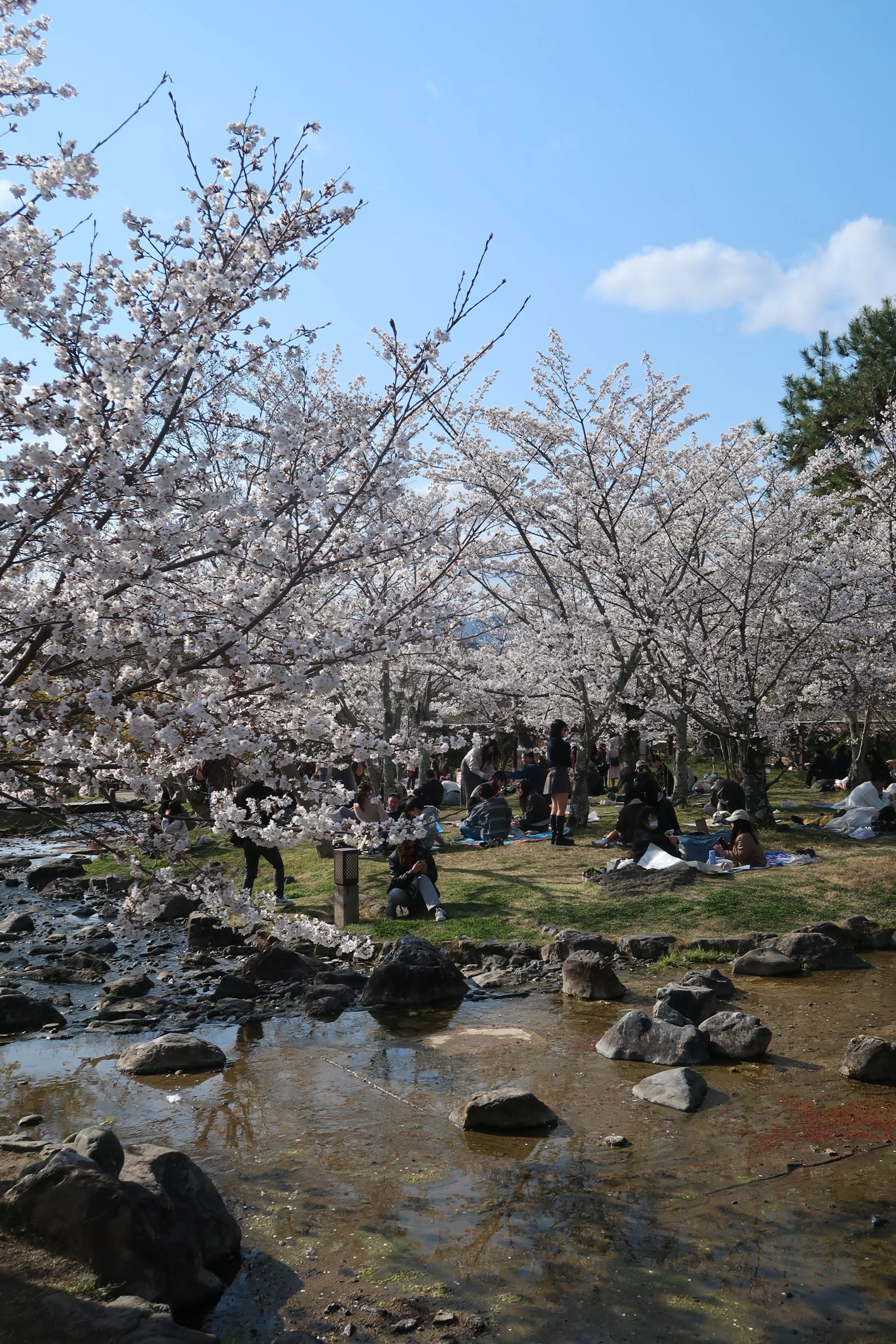IMG_3731.jpeg