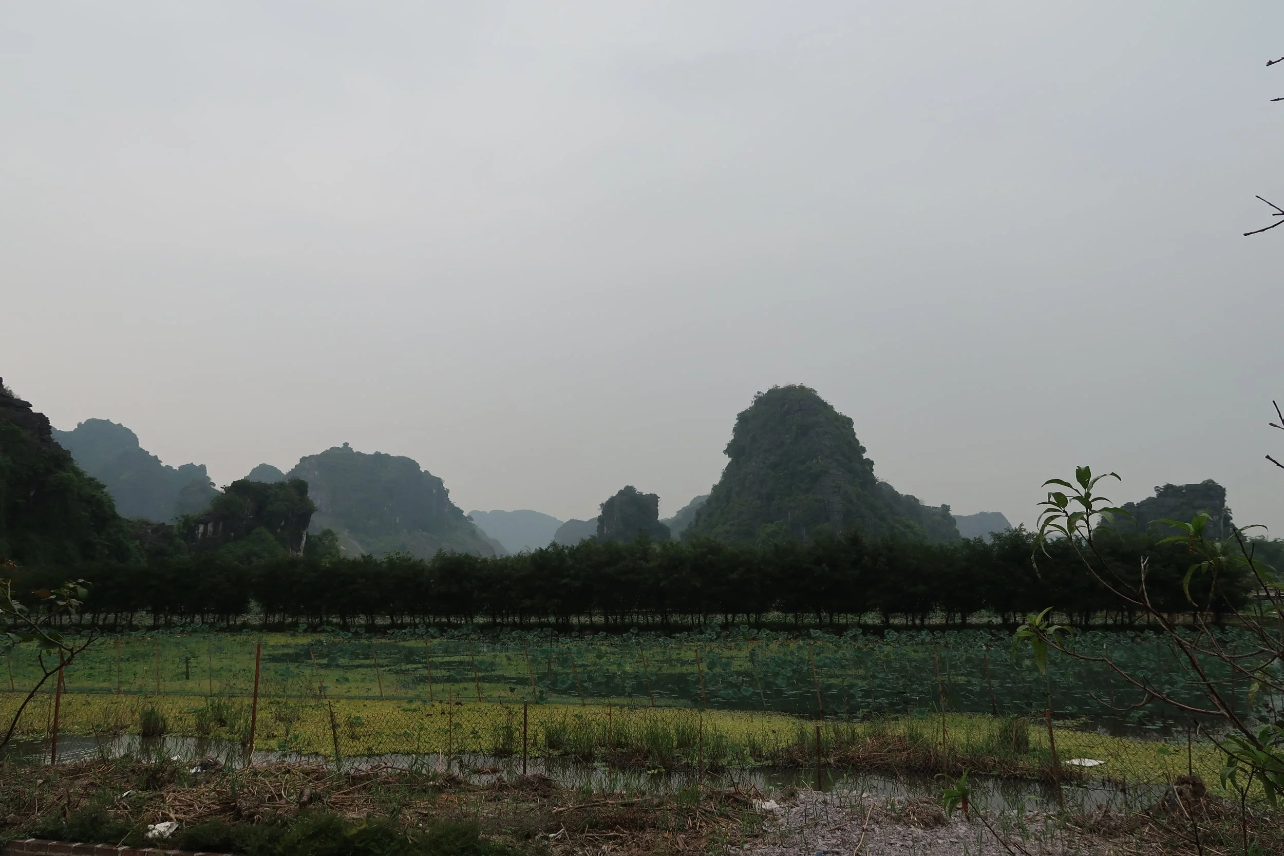 IMG_2531.jpeg