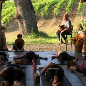 Yoga in the Vineyard