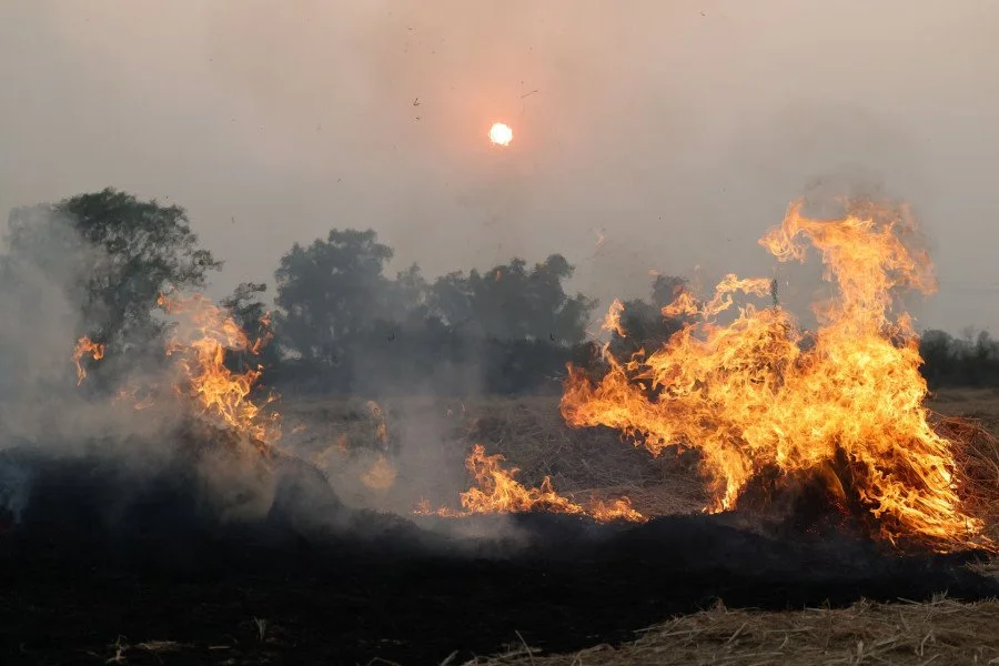 Dirty air choking Delhi, Punjab farmers recycle crop waste — moving away from stubble burning