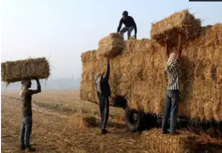 Farmers in Punjab recycle crop waste, aim to reduce pollution