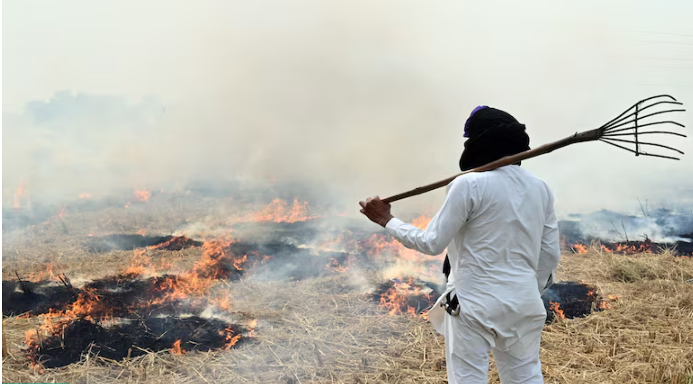 Farmers in Punjab recycle crop waste, aim to reduce pollution