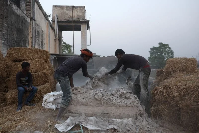 Farmers in India’s Punjab recycle crop waste, aim to reduce pollution