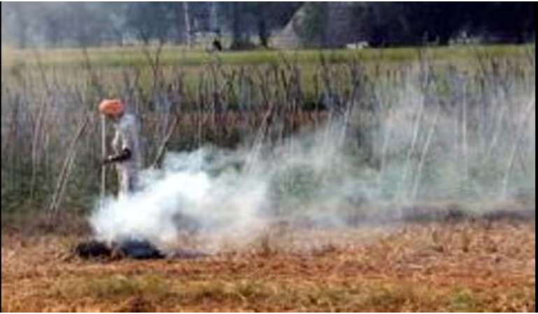 Farm fire impact on Delhi pollution drops as paddy burning season ends