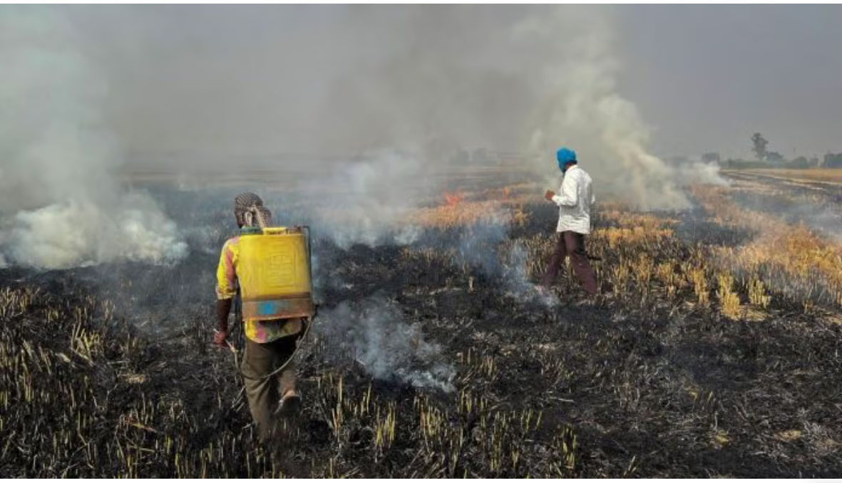 Are farm fires going uncounted? ISRO study suggests farmers have figured out a way to evade satellites