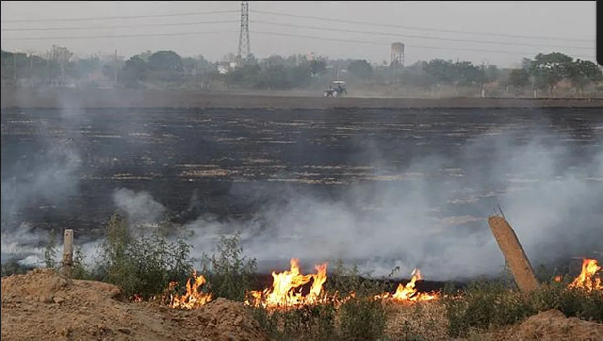 Delhi's air pollution worst in India, stubble burning just 10%: Study