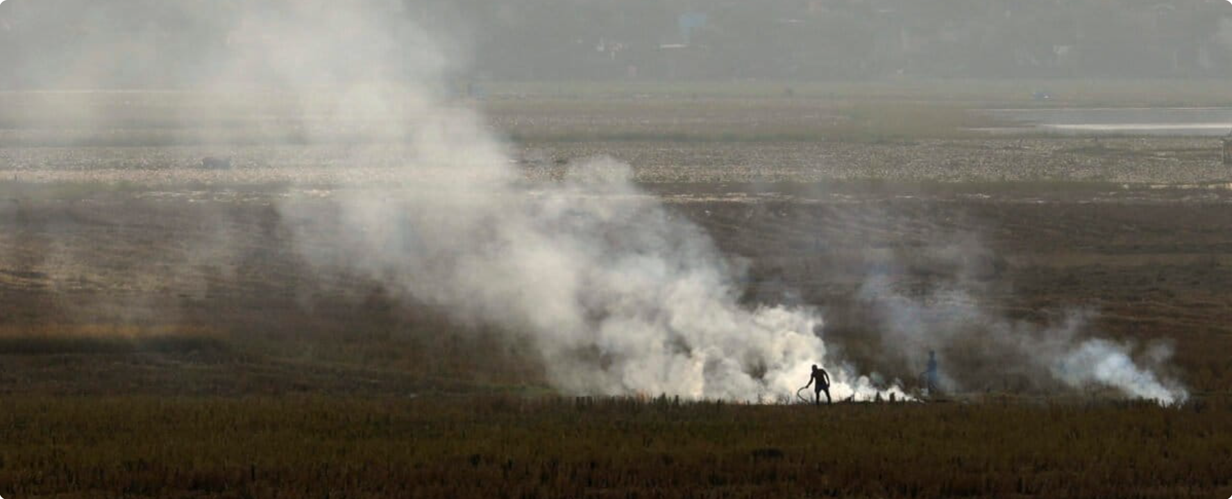 Parliamentary committee makes widespread recommendations to improve air quality