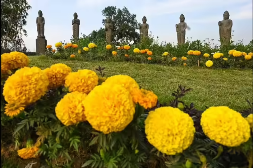 Delhi posts second ‘satisfactory’ air day in a row, mercury to rise