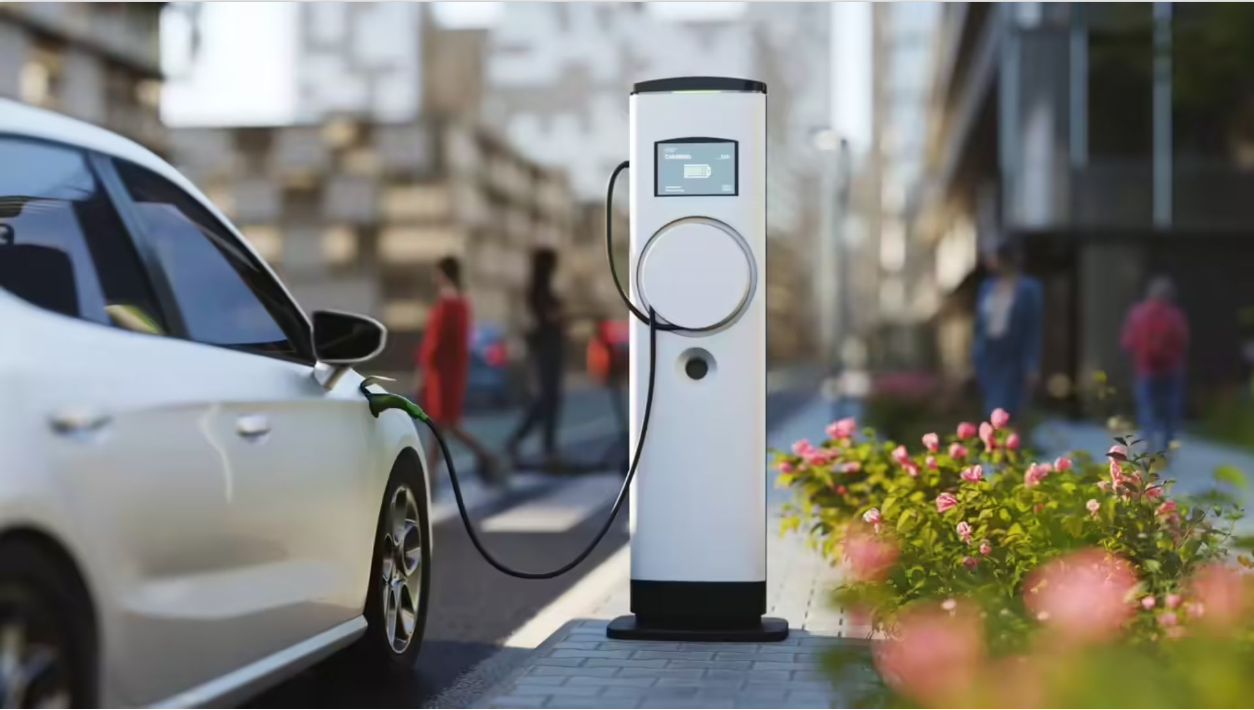 EV registrations jump 29% in Delhi, petrol vehicles still dominate: Analysis