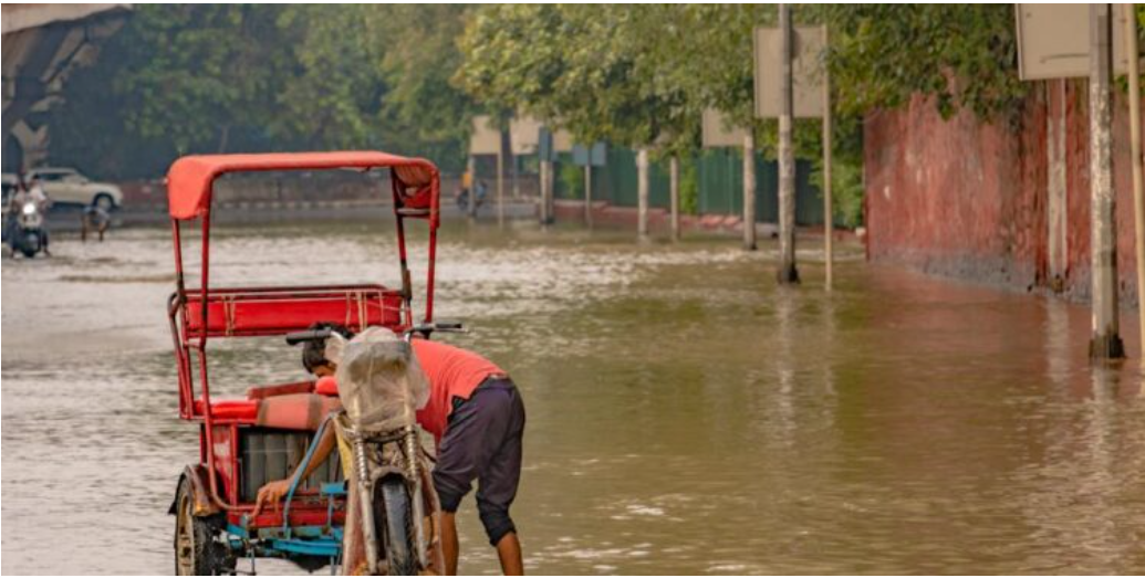 EVs grow, petrol still rules Delhi roads and the New Career Landscape