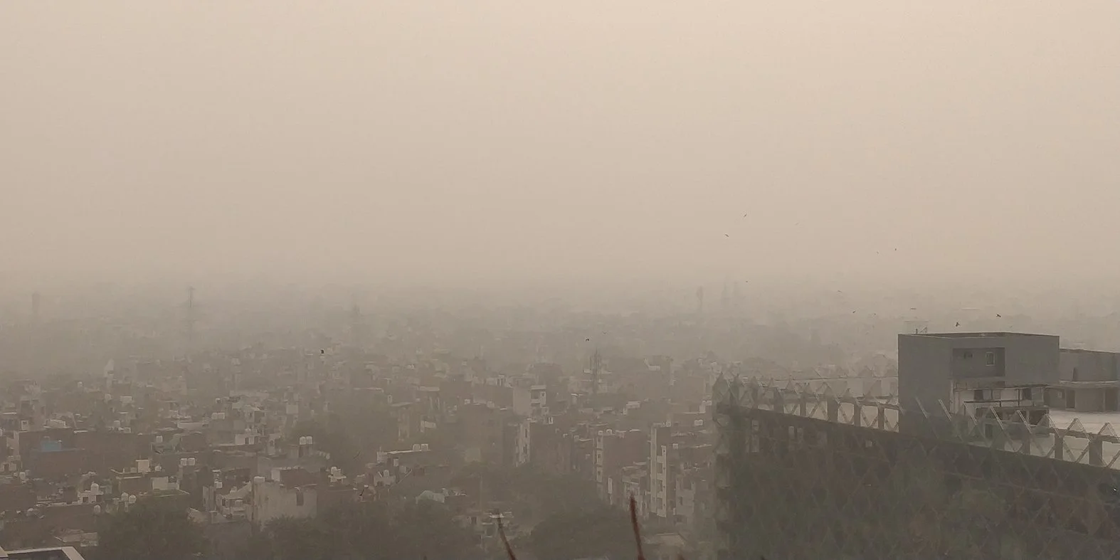 Denial and Misinformation: How Politics Weakens India's Air Pollution Response