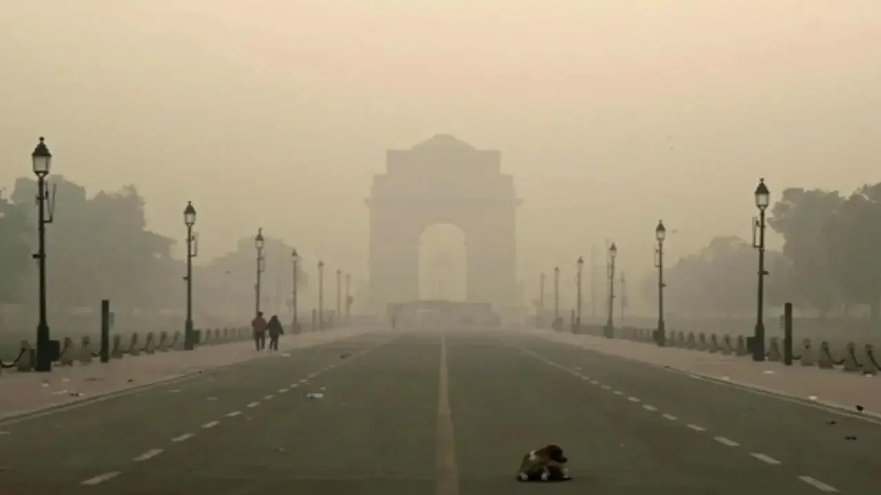 Concentration of major pollutants in Delhi air this October lower than previous years: Data