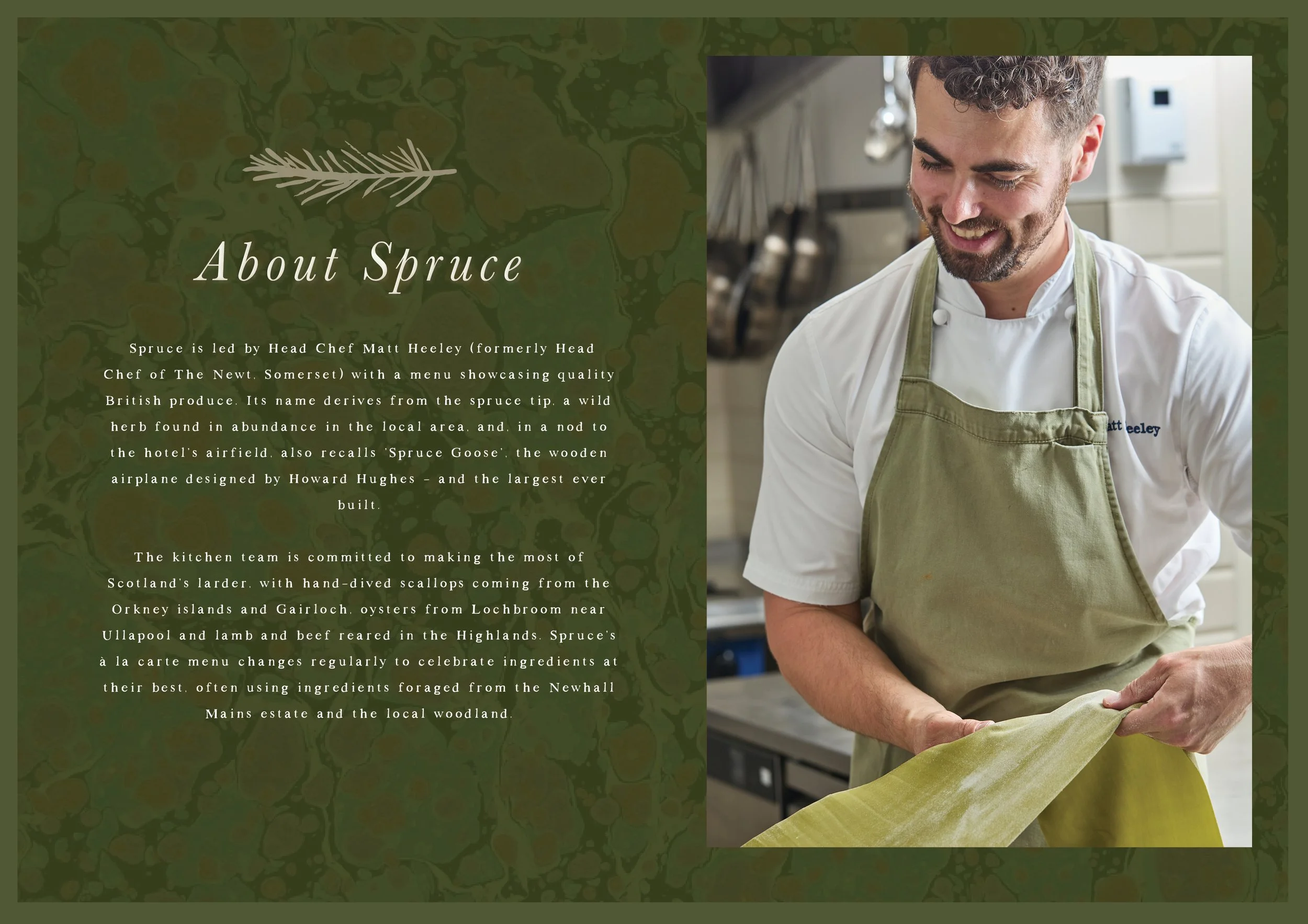 SPRUCE-brand3.jpg