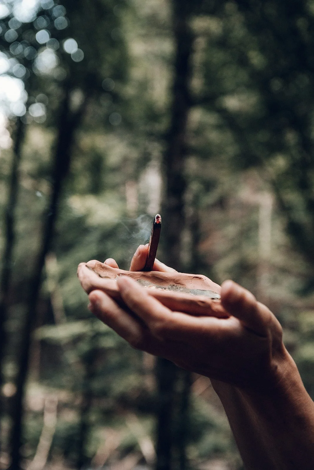 La Voix de Gaia Écospiritualité Vanessa Fourcaudot45.jpg