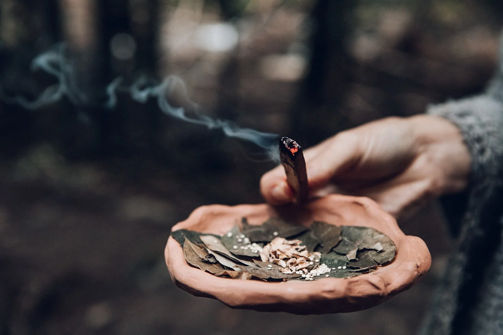 La Voix de Gaia Ecospiritualite25.jpg