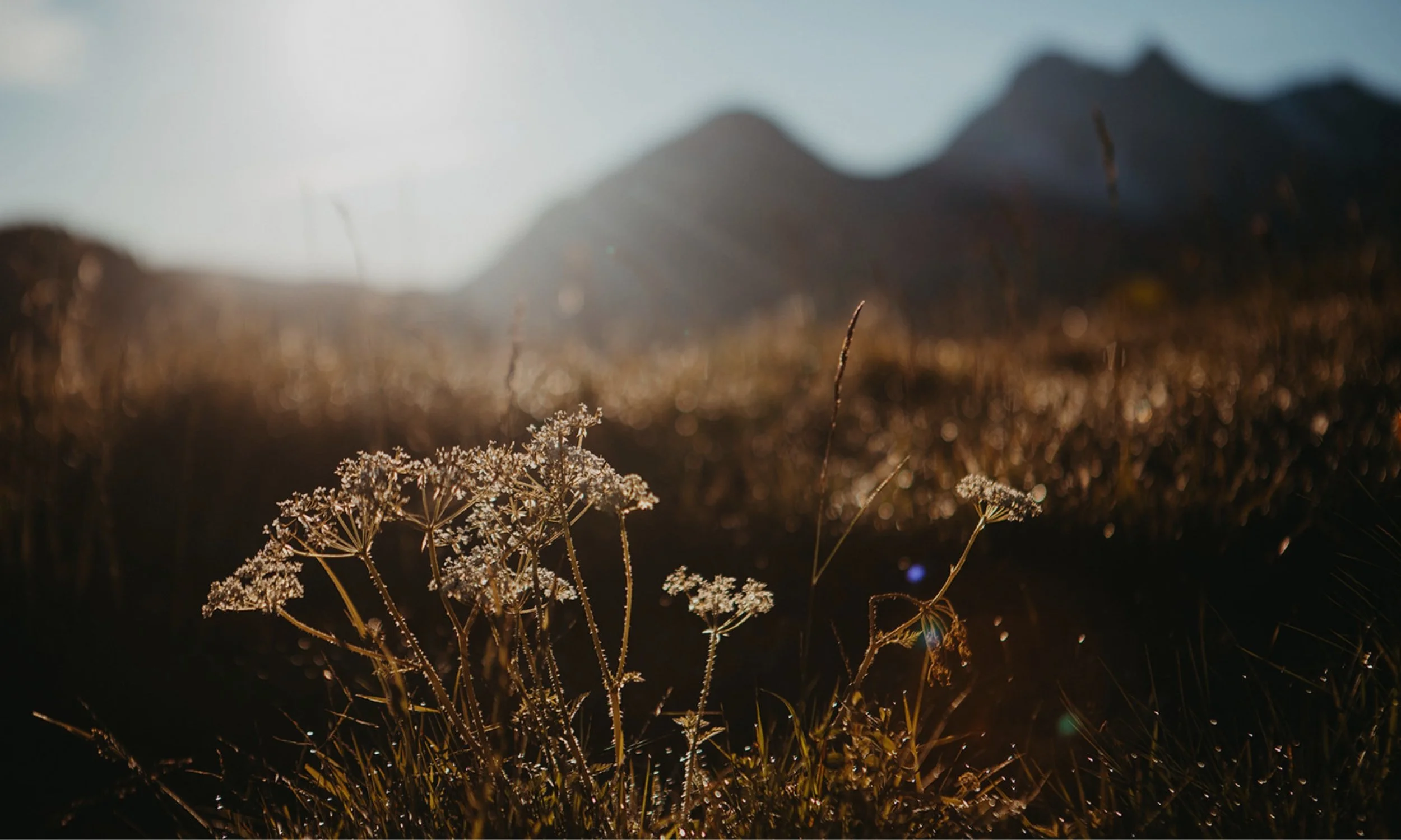cœur sauvage - randonnée itinérante