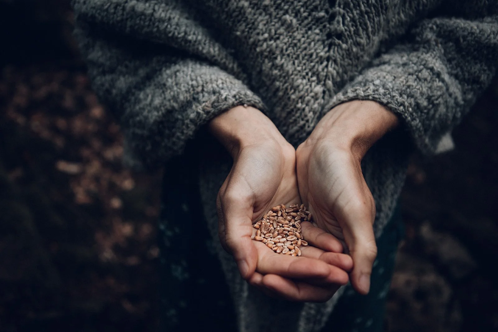 La Voix de Gaia Ecospiritualite29.jpg