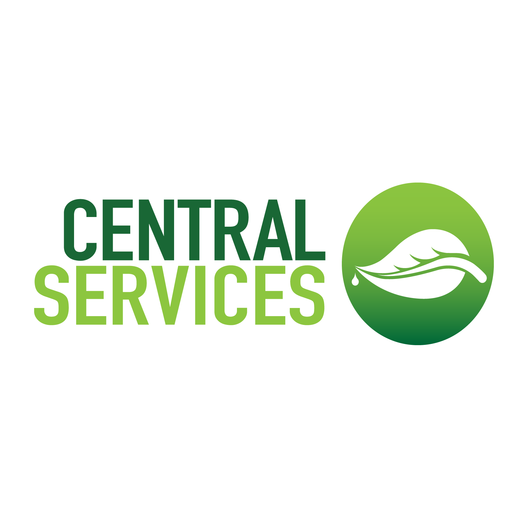 logo-central-services-big.png