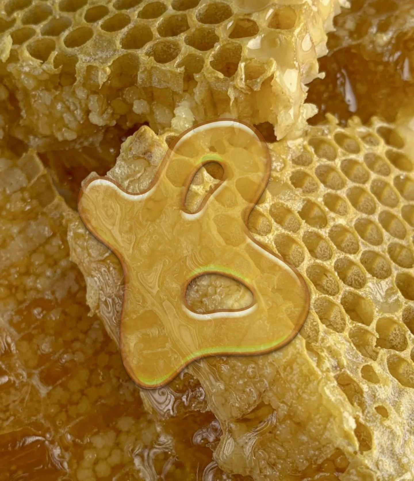 Aujourd&rsquo;hui je vous pr&eacute;sente l&rsquo;identit&eacute; visuelle fictive que j&rsquo;ai cr&eacute;&eacute; pour une miellerie artisanale &laquo; Les butineuses &raquo;. 🐝🍯

&laquo; Avec Les butineuses, chaque pot de miel est le fruit d&rs