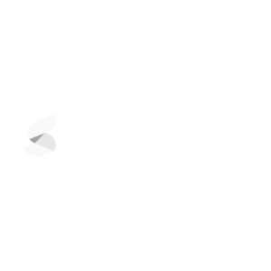 Summize