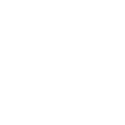YouFibre