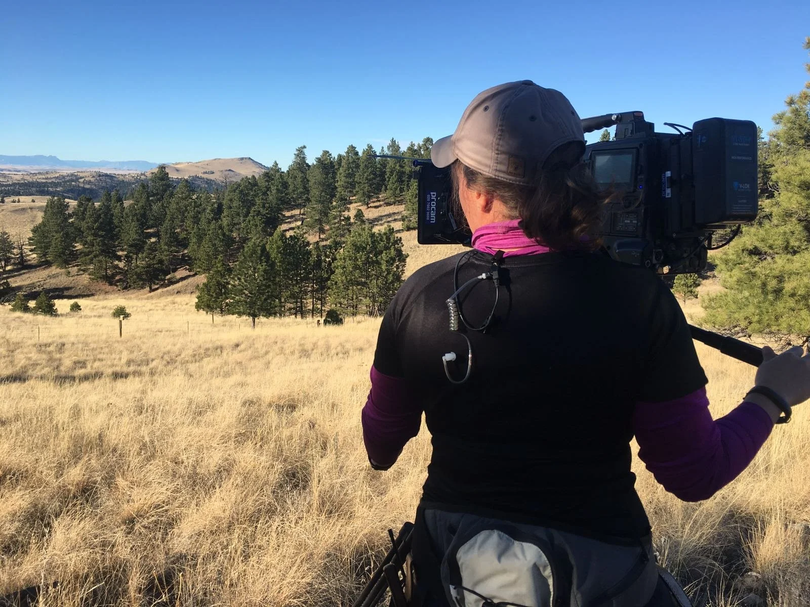 A person operating a professional video camera in a grassy field with trees and hills in the background on a clear day.