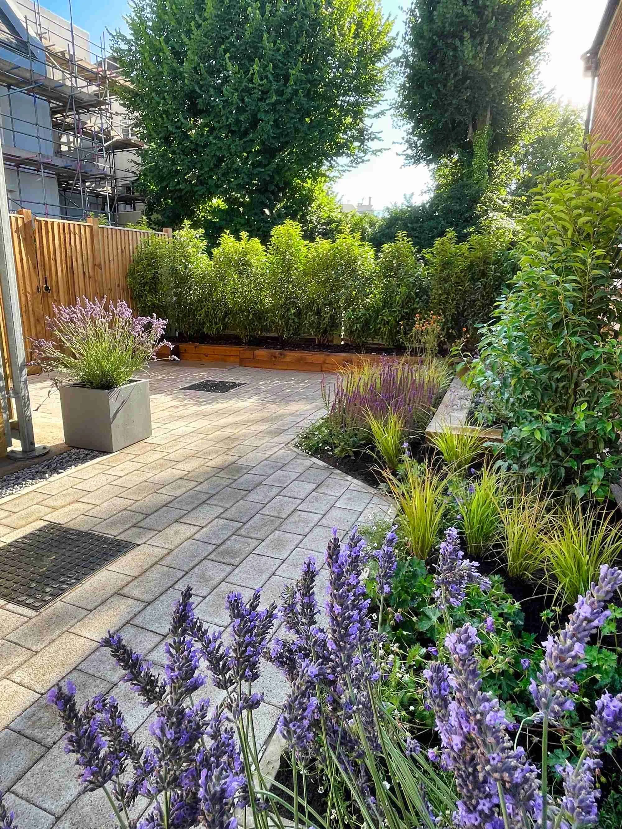 Sutton Rainwater Garden