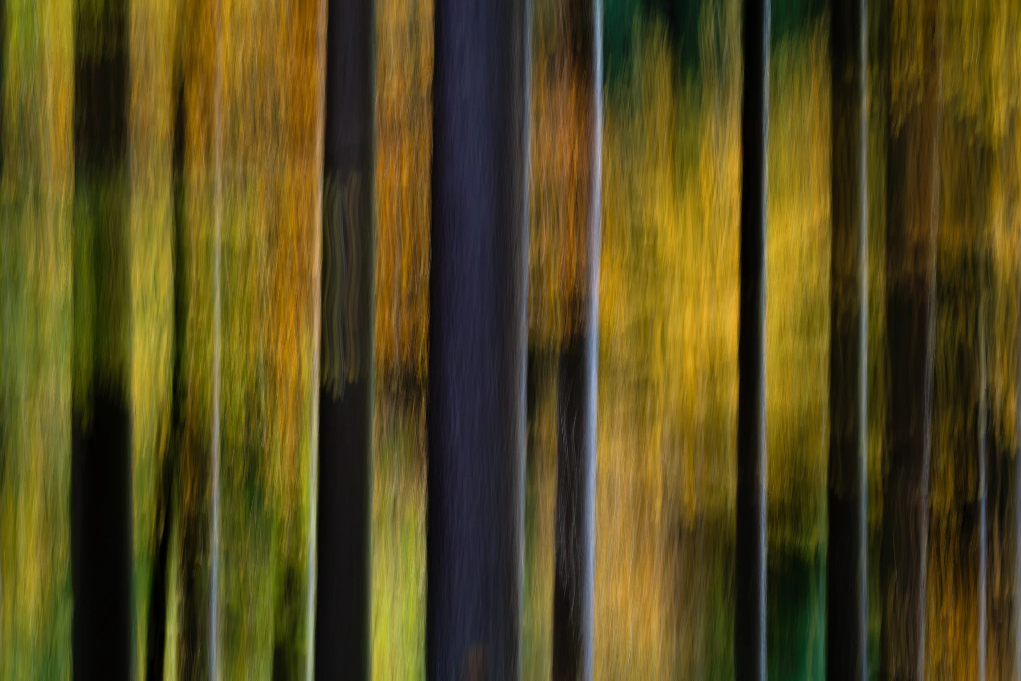 _DSC5087-Edit.jpg