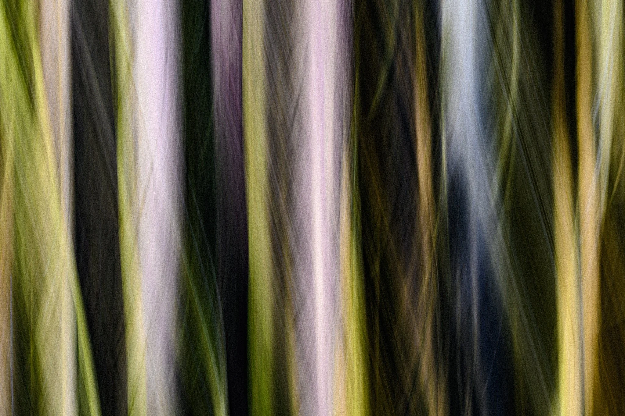 DSC_6156.jpg