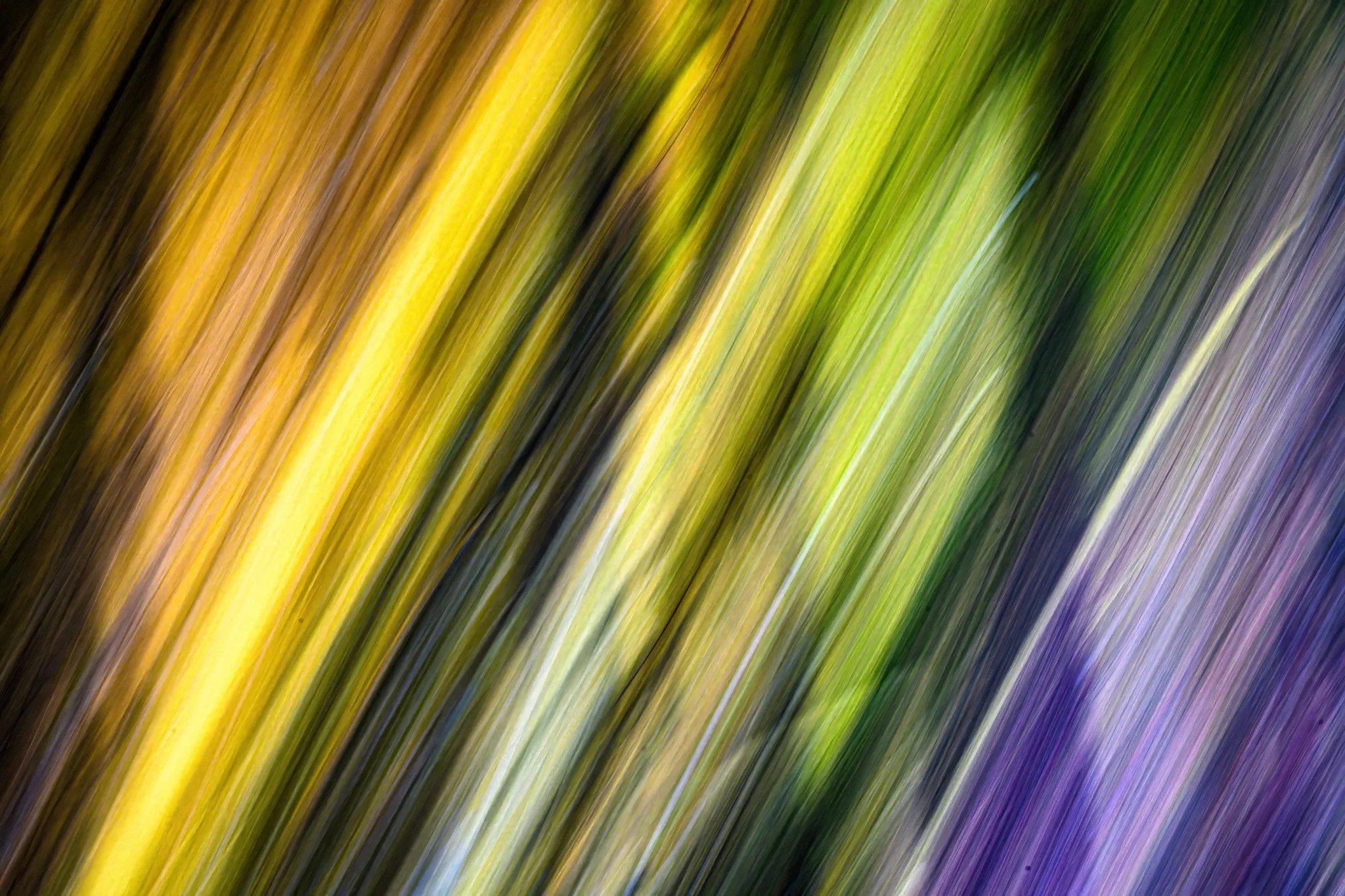 DSC_6157-Edit.jpg